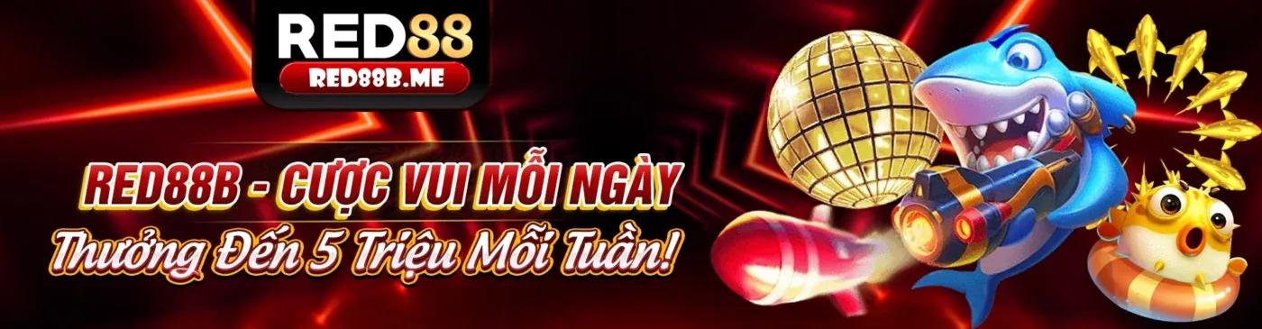 Kwin App Tin Tức Mới Nhất 2026